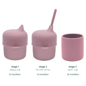 WeMightBeTiny Sippie Grip Cup Set With Lid & Straw Food-grade Silicone From 6M